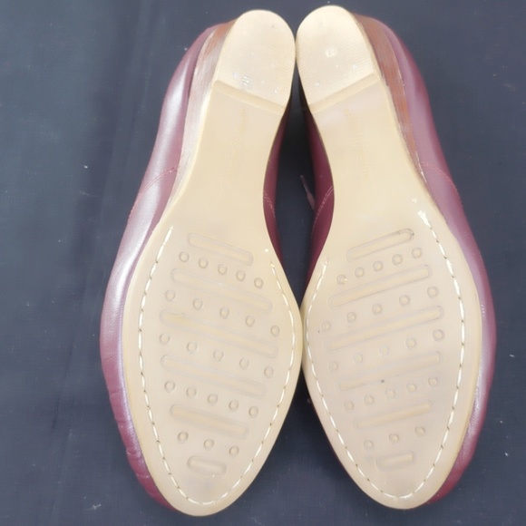 OLDMAINE TROTTERS - Picture 6 of 6